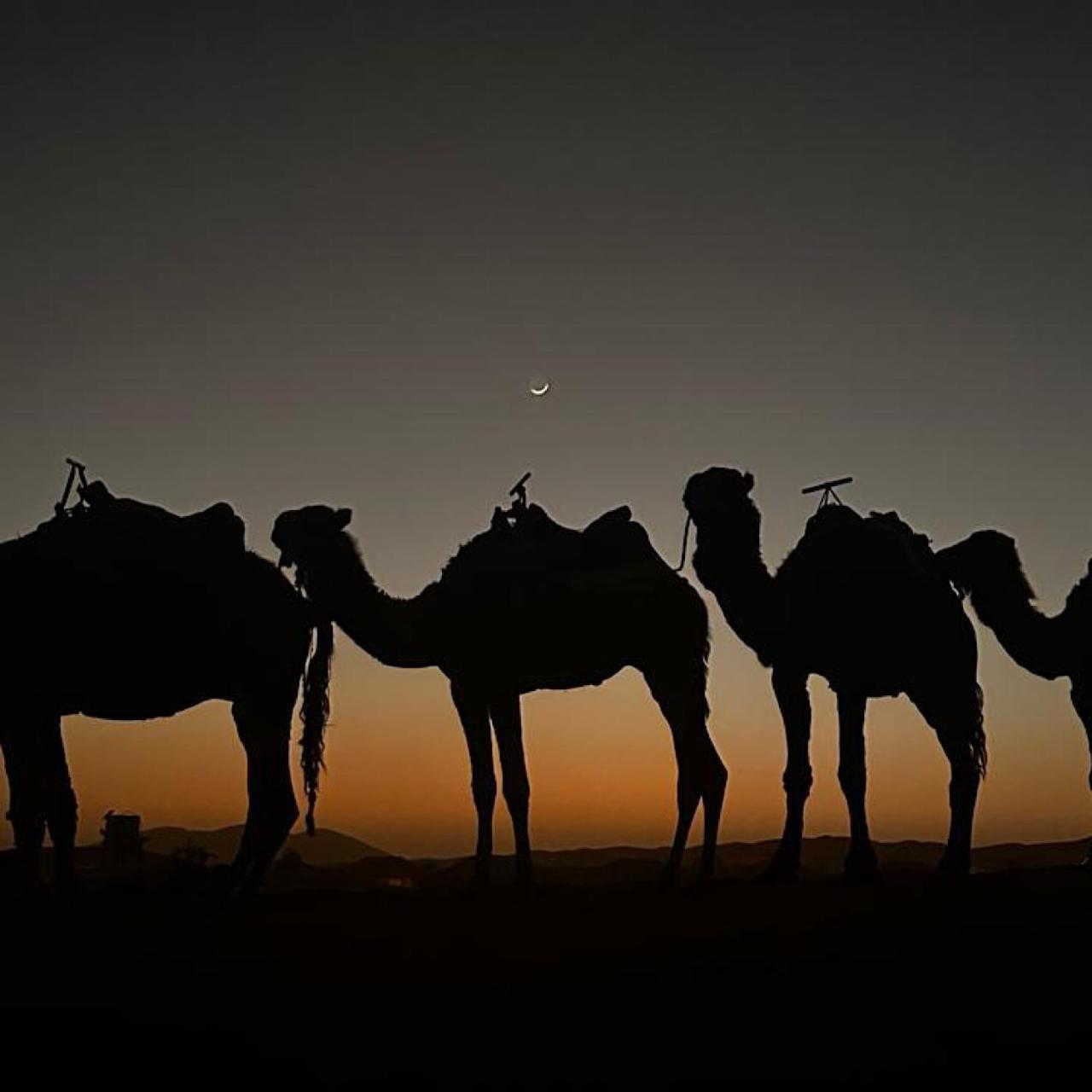 Authentic Luxury Camp Hotel Merzouga Ngoại thất bức ảnh